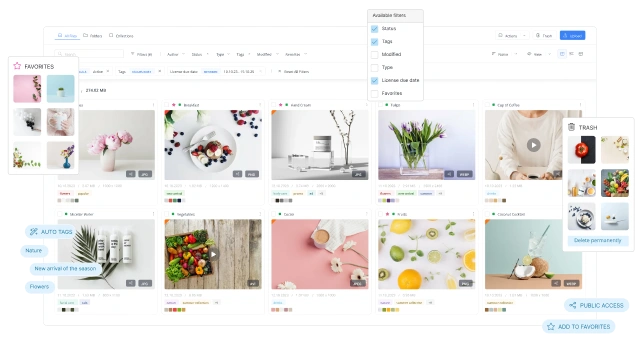 Intrical  – DAM and AMS